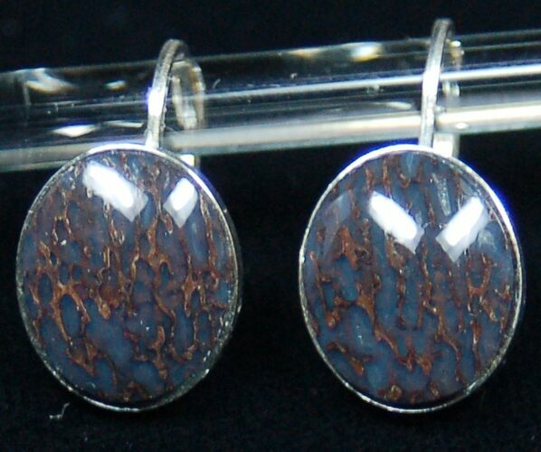 Dark Blue, Polished Dinosaur Bone (Gembone) Earrings #54104